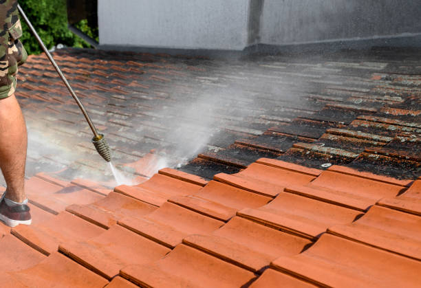 Best Roof Pressure Washing  in Maitland, FL
