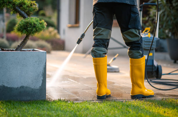 Best Roof Pressure Washing  in Maitland, FL